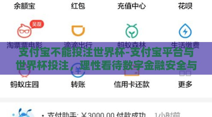 支付宝不能投注世界杯-支付宝平台与世界杯投注，理性看待数字金融安全与法律合规
