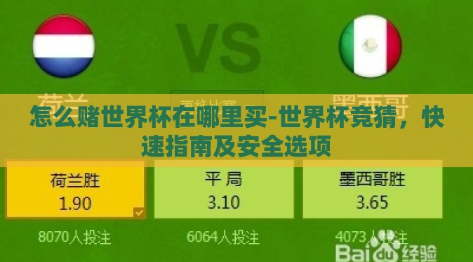 怎么赌世界杯在哪里买-世界杯竞猜，快速指南及安全选项