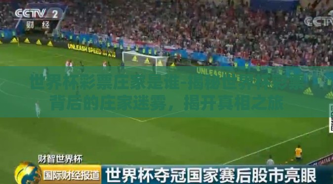 世界杯彩票庄家是谁-揭秘世界杯彩票背后的庄家迷雾，揭开真相之旅
