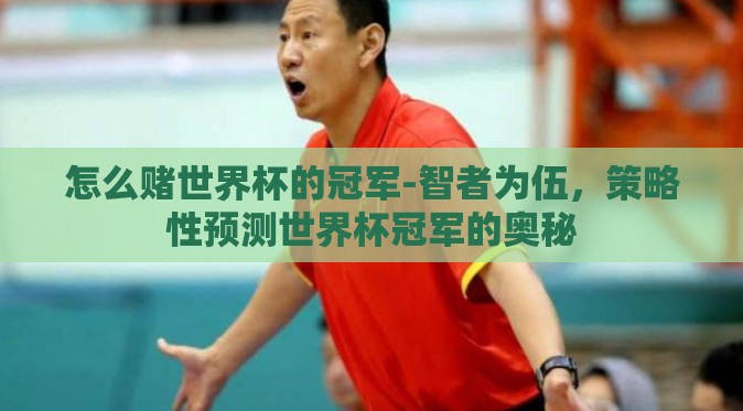 怎么赌世界杯的冠军-智者为伍，策略性预测世界杯冠军的奥秘