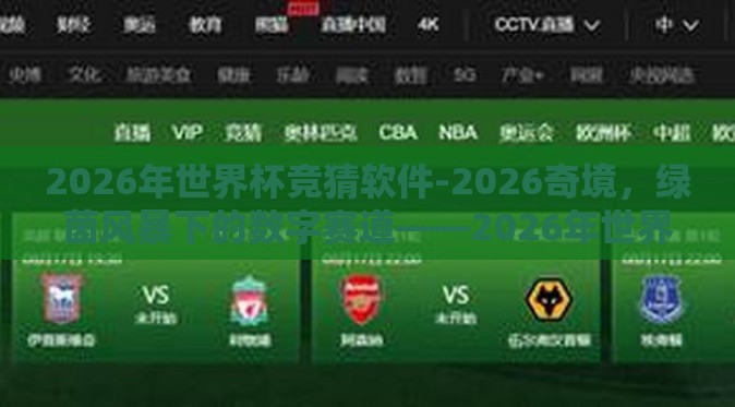 2026年世界杯竞猜软件-2026奇境，绿茵风暴下的数字赛道——2026年世界杯竞猜应用程序前瞻
