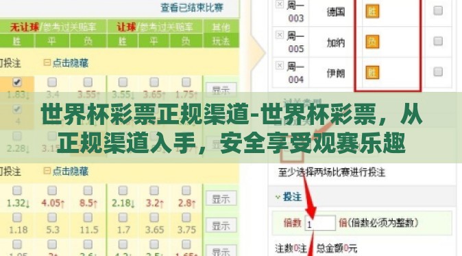 世界杯彩票正规渠道-世界杯彩票，从正规渠道入手，安全享受观赛乐趣