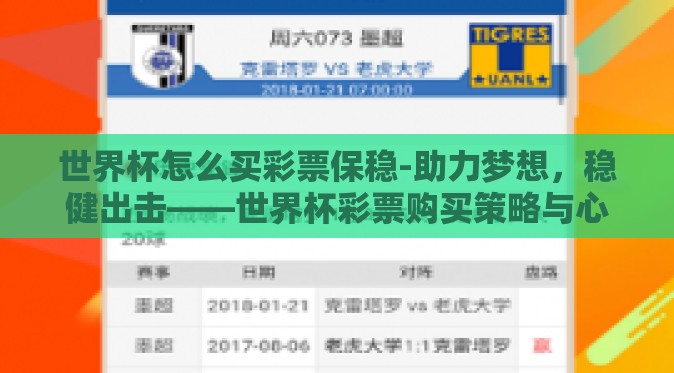 世界杯怎么买彩票保稳-助力梦想，稳健出击——世界杯彩票购买策略与心得分享