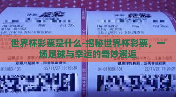 世界杯彩票是什么-揭秘世界杯彩票，一场足球与幸运的奇妙邂逅