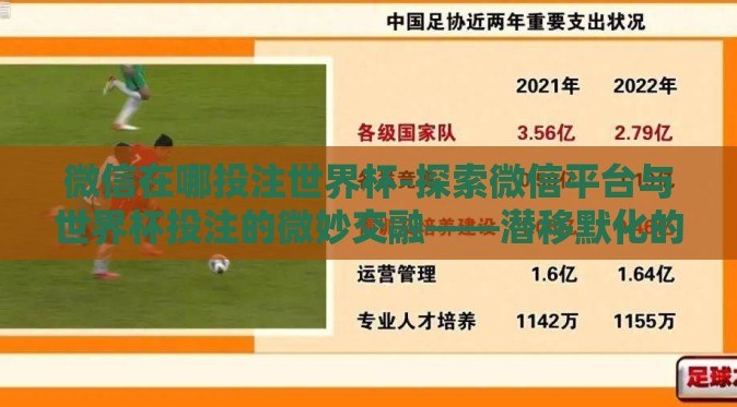 微信在哪投注世界杯-探索微信平台与世界杯投注的微妙交融——潜移默化的数字生活