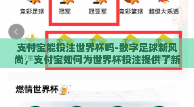 支付宝能投注世界杯吗-数字足球新风尚，支付宝如何为世界杯投注提供了新渠道