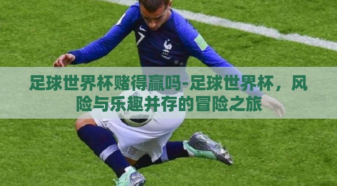 足球世界杯赌得赢吗-足球世界杯，风险与乐趣并存的冒险之旅