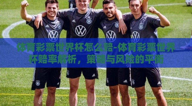 体育彩票世界杯怎么赔-体育彩票世界杯赔率解析，策略与风险的平衡
