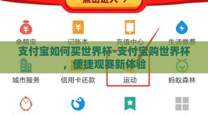 支付宝如何买世界杯-支付宝购世界杯，便捷观赛新体验