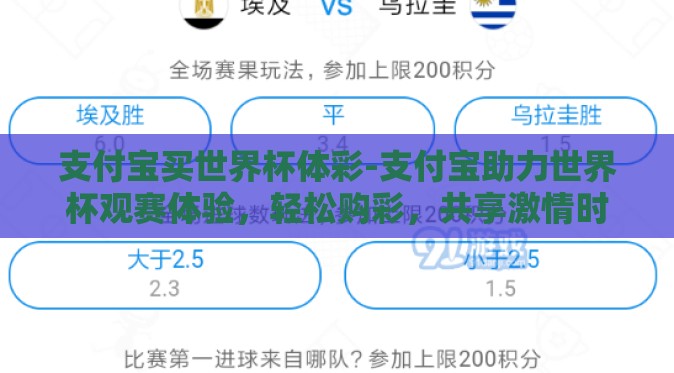 支付宝买世界杯体彩-支付宝助力世界杯观赛体验，轻松购彩，共享激情时刻