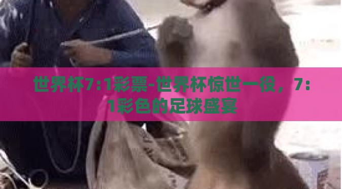 世界杯7:1彩票-世界杯惊世一役,7:1彩色的足球盛宴 世界杯7:1彩票-世界杯惊世一役,7:1彩色的足球盛宴