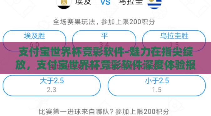 支付宝世界杯竞彩软件-魅力在指尖绽放,支付宝世界杯竞彩软件深度体验报告 支付宝世界杯竞彩软件-魅力在指尖绽放,支付宝世界杯竞彩软件深度体验报告