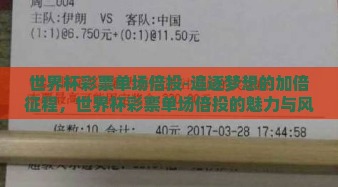 世界杯彩票单场倍投-追逐梦想的加倍征程，世界杯彩票单场倍投的魅力与风险